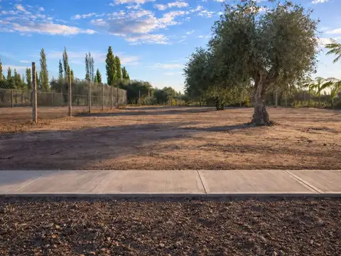 Terreno en Venta de 501,0 m2