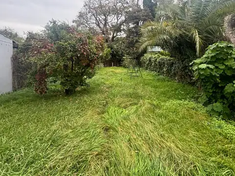 Calle 364 500