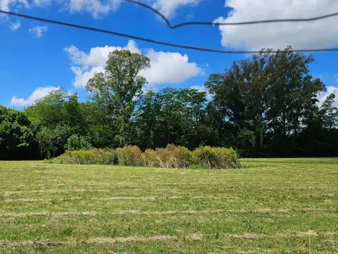 Terreno en Venta 248  mts Fondo