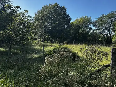 LOS ARRAYANES MZ 64 LOTE 25