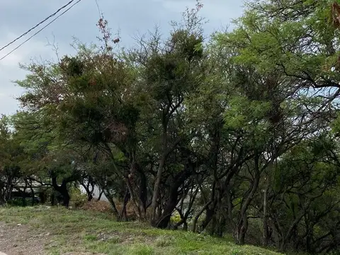 Terreno en Venta 65  mts Fondo
