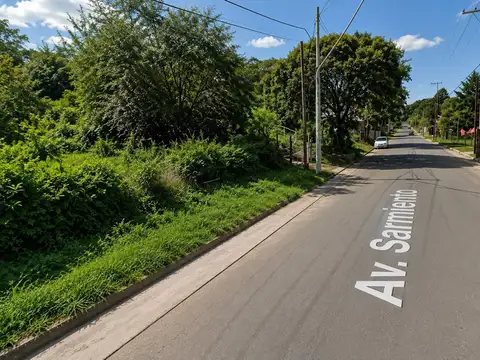 Avenida Sarmiento