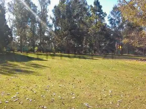 Venta - TERRENO EN ROLDAN EXCELENTE OPORTUNIDAD