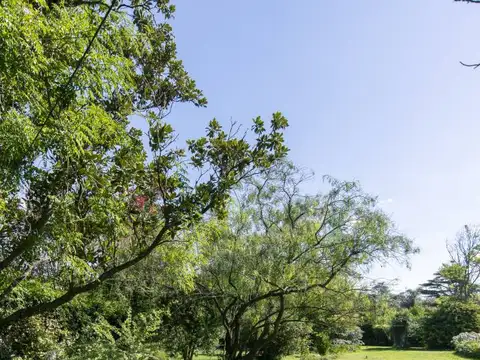 Lotes en Venta Villa Elisa