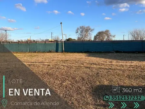 LOTE - COMARCA DE ALLENDE