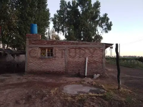 Finca productiva en venta.