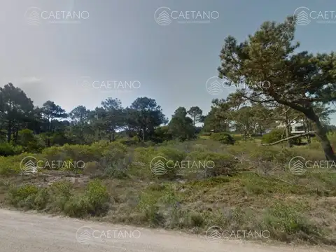 Venta terreno en Chihuahua 