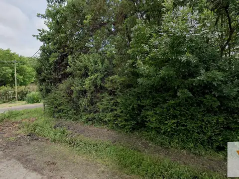 Terreno en Venta en Arturo Segui, USD 68.000