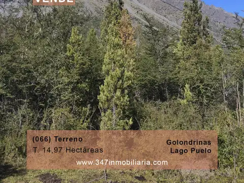 Campo en Venta en Lago Puelo, Cushamen