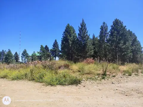 Lote Terreno Barrio El Condor 