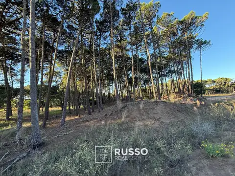 Terreno en Venta en Pinamar Norte, USD 108.000