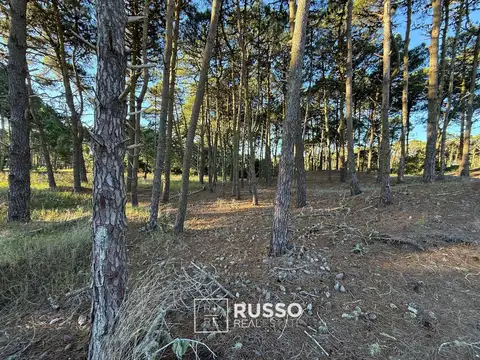 LOTE EN VENTA FINANCIACION - BOSQUES BARRIO TAMARISCO PINAMAR