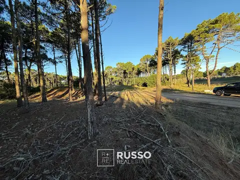 Bosques Pinamar Norte