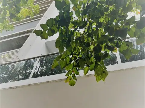 Quesada 5074 , Piso 7