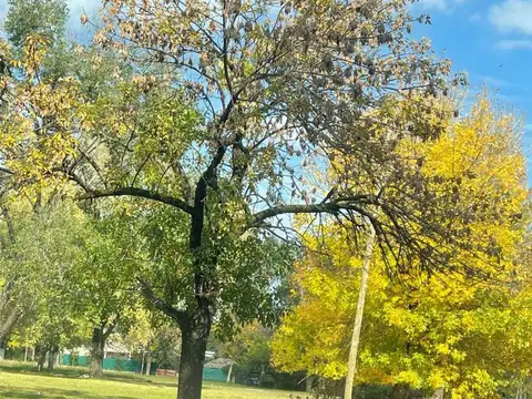 Casa en Venta 25 años