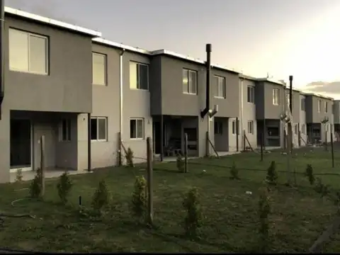 Pilar - Decs Tortugas