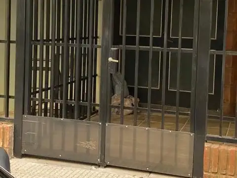 Depósito  en Alquiler en Palermo, Capital Federal, Buenos Aires