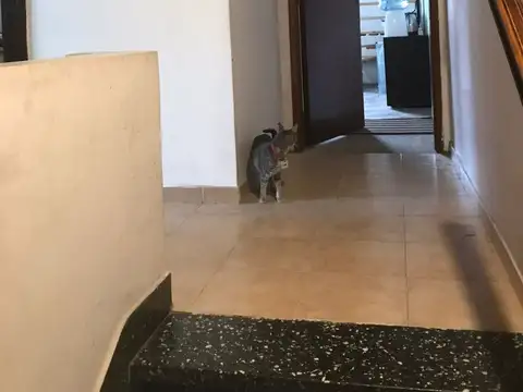 Galpon en Venta 7,50  mts Frente