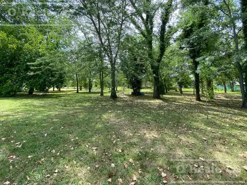Terrazas al Bosque