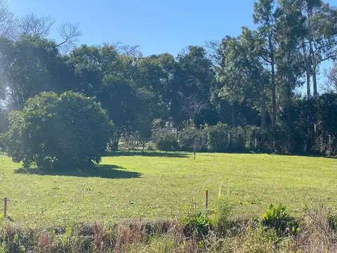 LOS FRESNOS Y LOS NOGALES