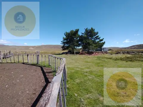 campo en  venta