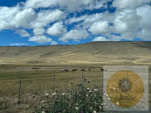 campo en  venta
