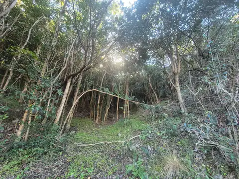 Terreno en Venta de 5379,0 m2