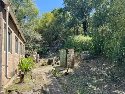 Alameda Jose Crossetto 300