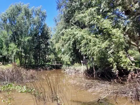 Casa Quinta  en Venta en Durazno, Zona Delta, San Fernando