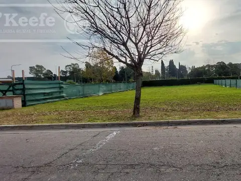 Terreno en Barrancas de Iraola