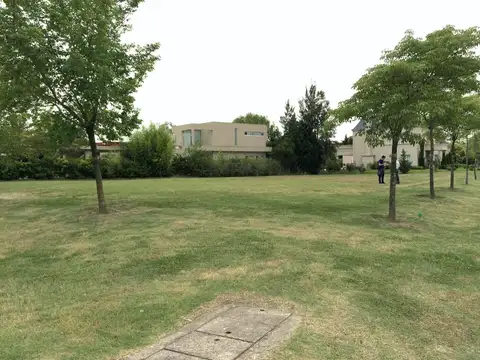 Av de los lagos al 100