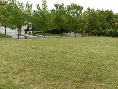 Av de los lagos al 100