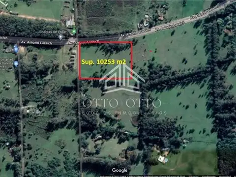 TERRENOS/FRACCIONES/LOTEOS - TERRENOS/FRACCIONES/LOTEOS - PUNTA BALLENA