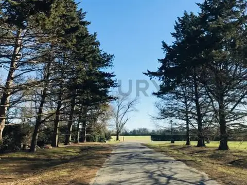 RUTA NACIONAL 6 100, Piso 0