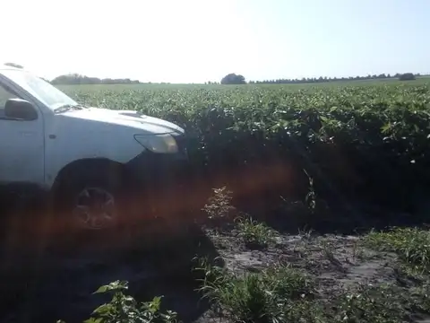 Terreno Campo  en Venta ubicado en Rosario, Rosario - TRA0038_LP359192_1