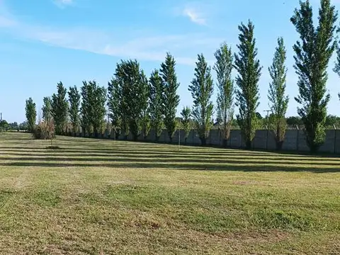 Terreno en Venta 13  mts Frente