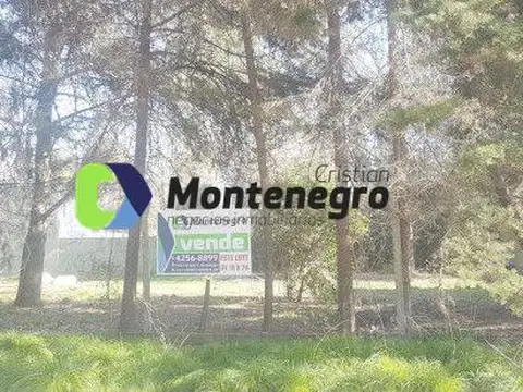 Terreno - Venta - Argentina, Berazategui - Calle 314 1850