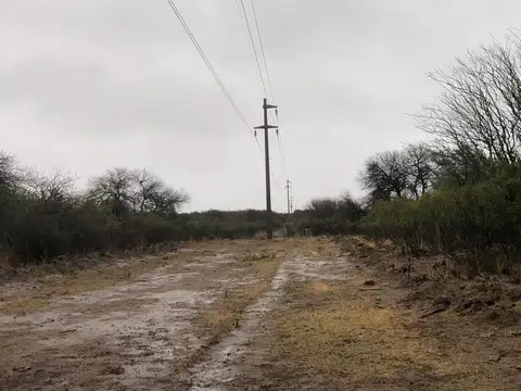 Venta Campo 161 Ha en Santa Rosa del Conlara