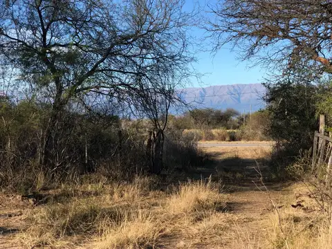 Campo en Venta Mixto