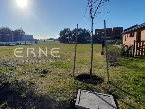 LOTE CASONAS DEL ARAS