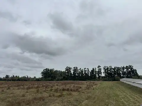 Terreno en Venta 240  mts Fondo