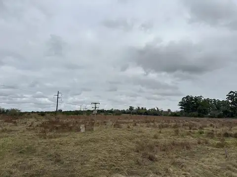 Terreno en  ruta 135