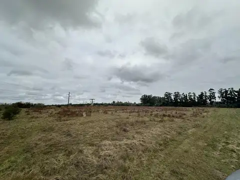 Ruta 135