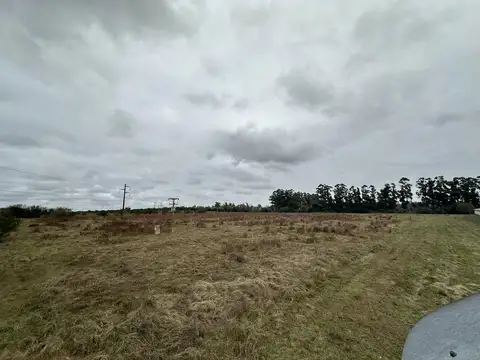Ruta 135