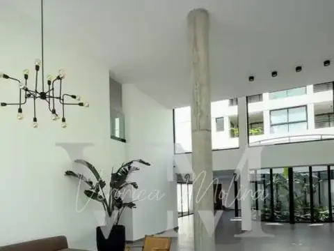 PAULINO ROJAS 550