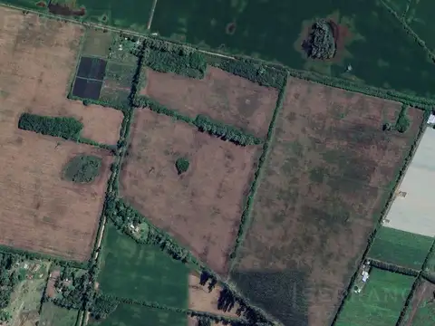 Venta campo agrícola ganadero con mejoras de 32 has. Zarate