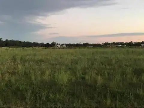 Terreno - Estancia Villa Maria