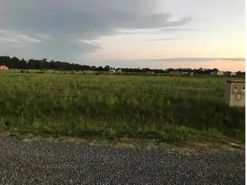 C. Pereda Canning 100