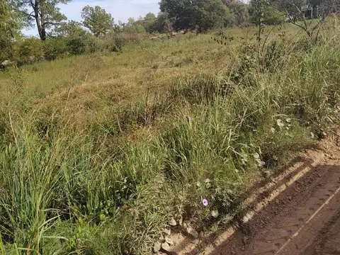 Terreno en Venta en Villa Paranacito, USD 22.000