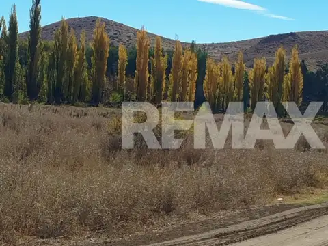 Terreno en Venta de 10000,0 m2